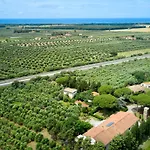 Antichi Palmenti - Rosmarino *