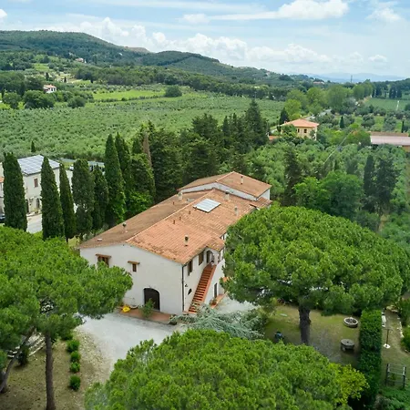 Antichi Palmenti - Rosmarino Bauernhof San Vincenzo