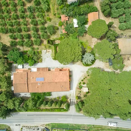 Bauernhof Antichi Palmenti - Rosmarino